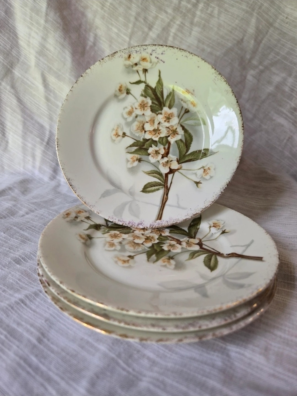 Floral Blossom Ceramic Salad Plates in White and Green (Set)